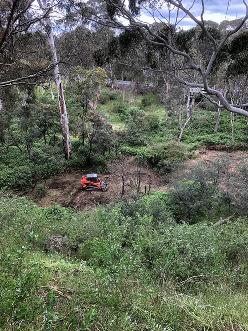 Land clearing and forestry mulching by excavation contractor in Central Victoria